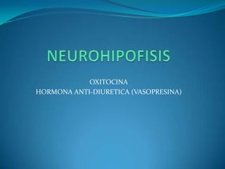 OXITOCINA
HORMONA ANTI-DIURETICA (VASOPRESINA)