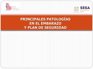 PRINCIPALES PATOLOGÍAS
EN EL EMBARAZO
Y PLAN DE SEGURIDAD
 