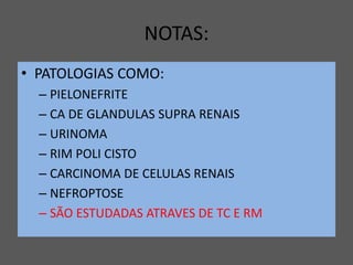 NOTAS:
• PATOLOGIAS COMO:
– PIELONEFRITE
– CA DE GLANDULAS SUPRA RENAIS
– URINOMA
– RIM POLI CISTO
– CARCINOMA DE CELULAS RENAIS
– NEFROPTOSE
– SÃO ESTUDADAS ATRAVES DE TC E RM
 