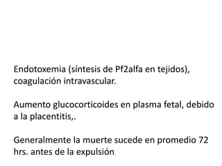 Endotoxemia (síntesis de Pf2alfa en tejidos),
coagulación intravascular.
Aumento glucocorticoides en plasma fetal, debido
a la placentitis,.
Generalmente la muerte sucede en promedio 72
hrs. antes de la expulsión.
 