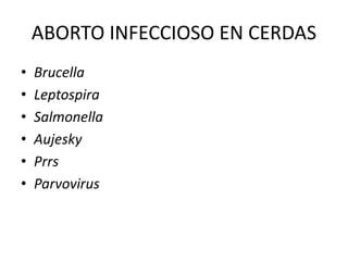 ABORTO INFECCIOSO EN CERDAS
• Brucella
• Leptospira
• Salmonella
• Aujesky
• Prrs
• Parvovirus
 