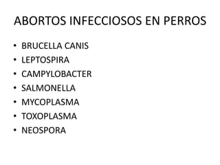 ABORTOS INFECCIOSOS EN PERROS
• BRUCELLA CANIS
• LEPTOSPIRA
• CAMPYLOBACTER
• SALMONELLA
• MYCOPLASMA
• TOXOPLASMA
• NEOSPORA
 