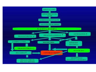 INDUCCION DE PARTO
 