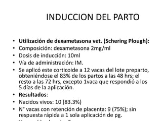 INDUCCION DEL PARTO
• Utilización de dexametasona vet. (Schering Plough):
• Composición: dexametasona 2mg/ml
• Dosis de inducción: 10ml
• Vía de administración: IM.
• Se aplicó este corticoide a 12 vacas del lote preparto,
obteniéndose el 83% de los partos a las 48 hrs; el
resto a las 72 hrs, excepto 1vaca que respondió a los
5 días de la aplicación.
• Resultados:
• Nacidos vivos: 10 (83.3%)
• N° vacas con retención de placenta: 9 (75%); sin
respuesta rápida a 1 sola aplicación de pg.
 