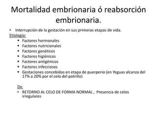 Mortalidad embrionaria ó reabsorción
embrionaria.
• Interrupción de la gestación en sus primeras etapas de vida.
Etiología:
 Factores hormonales
 Factores nutricionales
 Factores genéticos
 Factores higiénicos
 Factores antigénicos
 Factores infecciosos
 Gestaciones concebidas en etapa de puerperio (en Yeguas alcanza del
17% a 20% por el celo del potrillo)
Dx:
• RETORNO AL CELO DE FORMA NORMAL , Presencia de celos
irregulares
 