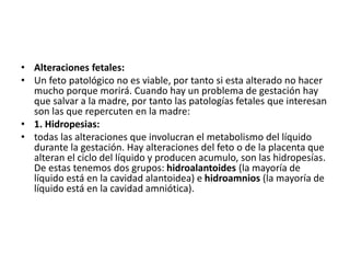 • Alteraciones fetales:
• Un feto patológico no es viable, por tanto si esta alterado no hacer
mucho porque morirá. Cuando hay un problema de gestación hay
que salvar a la madre, por tanto las patologías fetales que interesan
son las que repercuten en la madre:
• 1. Hidropesias:
• todas las alteraciones que involucran el metabolismo del líquido
durante la gestación. Hay alteraciones del feto o de la placenta que
alteran el ciclo del líquido y producen acumulo, son las hidropesías.
De estas tenemos dos grupos: hidroalantoides (la mayoría de
líquido está en la cavidad alantoidea) e hidroamnios (la mayoría de
líquido está en la cavidad amniótica).
 