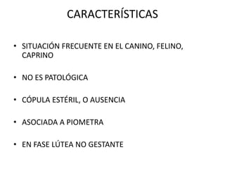 CARACTERÍSTICAS
• SITUACIÓN FRECUENTE EN EL CANINO, FELINO,
CAPRINO
• NO ES PATOLÓGICA
• CÓPULA ESTÉRIL, O AUSENCIA
• ASOCIADA A PIOMETRA
• EN FASE LÚTEA NO GESTANTE
 