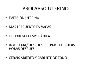 PROLAPSO UTERINO
• EVERSIÓN UTERINA
• MAS FRECUENTE EN VACAS
• OCURRENCIA ESPORÁDICA
• INMEDIATA/ DESPUÉS DEL PARTO O POCAS
HORAS DESPUÉS
• CERVIX ABIERTO Y CARENTE DE TONO
 