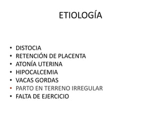 ETIOLOGÍA
• DISTOCIA
• RETENCIÓN DE PLACENTA
• ATONÍA UTERINA
• HIPOCALCEMIA
• VACAS GORDAS
• PARTO EN TERRENO IRREGULAR
• FALTA DE EJERCICIO
 