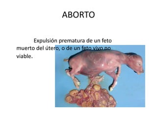 ABORTO
Expulsión prematura de un feto
muerto del útero, o de un feto vivo no
viable.
 