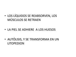 • LOS LÍQUIDOS SE REABSORVEN, LOS
MÚSCULOS SE RETRAEN
• LA PIEL SE ADHIERE A LOS HUESOS
• AUTÓLISIS, Y SE TRANSFORMA EN UN
LITOPEDION
 