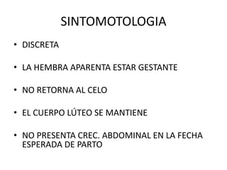 SINTOMOTOLOGIA
• DISCRETA
• LA HEMBRA APARENTA ESTAR GESTANTE
• NO RETORNA AL CELO
• EL CUERPO LÚTEO SE MANTIENE
• NO PRESENTA CREC. ABDOMINAL EN LA FECHA
ESPERADA DE PARTO
 