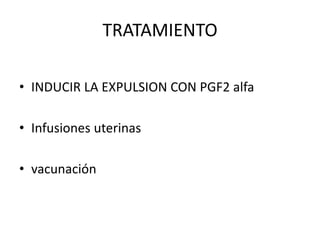 TRATAMIENTO
• INDUCIR LA EXPULSION CON PGF2 alfa
• Infusiones uterinas
• vacunación
 