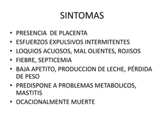 SINTOMAS
• PRESENCIA DE PLACENTA
• ESFUERZOS EXPULSIVOS INTERMITENTES
• LOQUIOS ACUOSOS, MAL OLIENTES, ROJISOS
• FIEBRE, SEPTICEMIA
• BAJA APETITO, PRODUCCION DE LECHE, PÉRDIDA
DE PESO
• PREDISPONE A PROBLEMAS METABOLICOS,
MASTITIS
• OCACIONALMENTE MUERTE
 