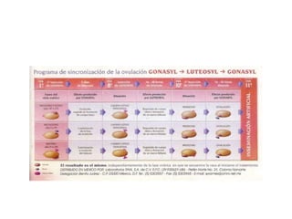 Patologías gestación veterinaria 