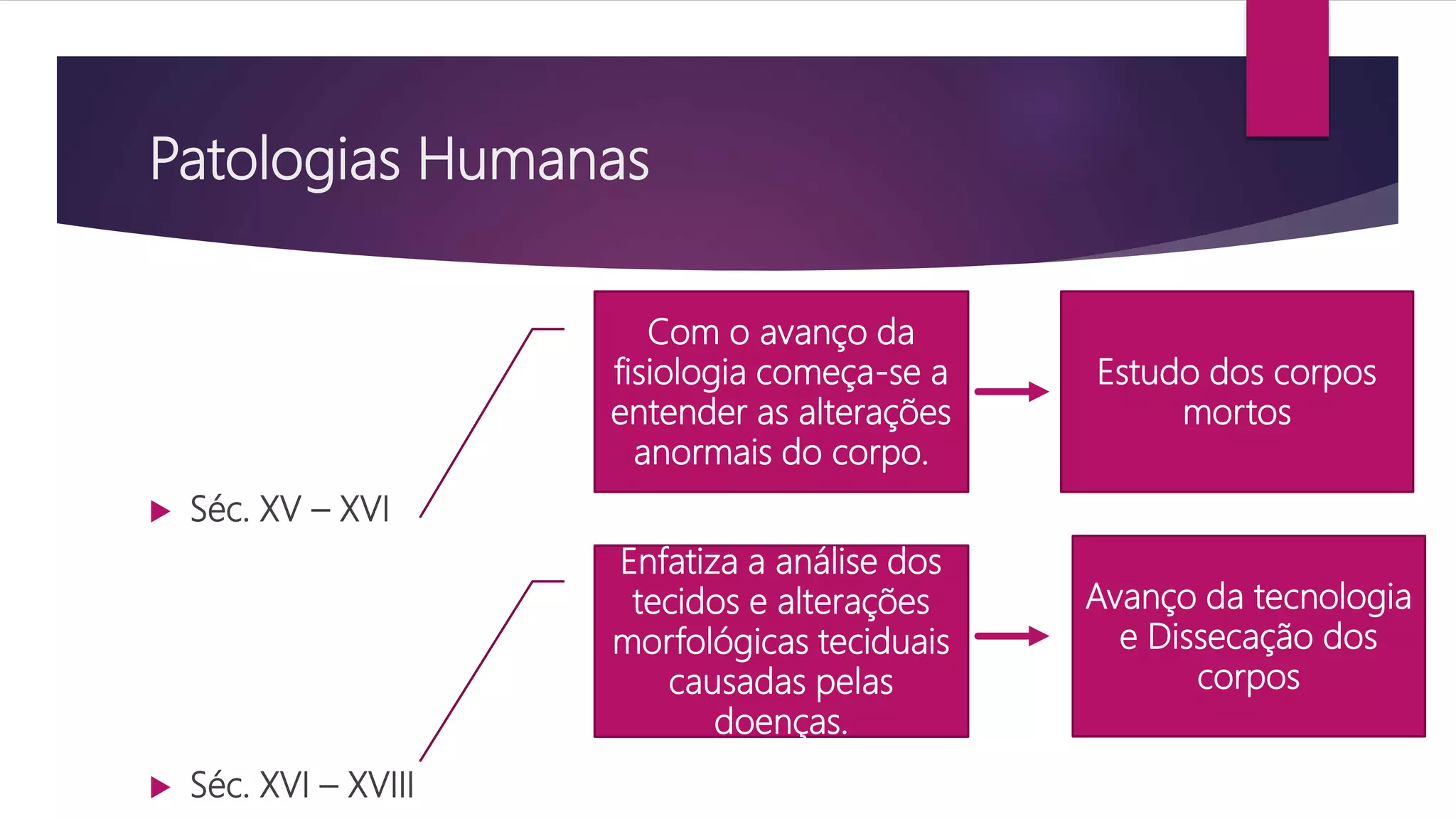 Patologias Humanas e Hipertensão Arterial | PPTX