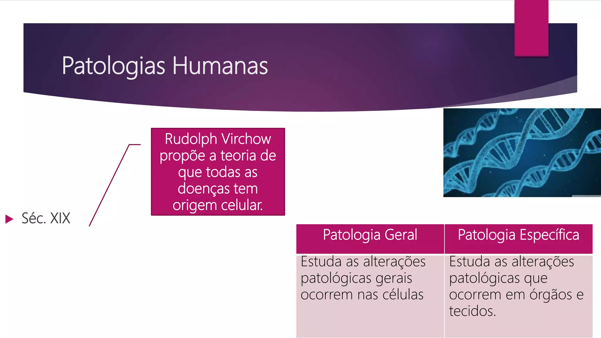 Patologias Humanas e Hipertensão Arterial | PPTX