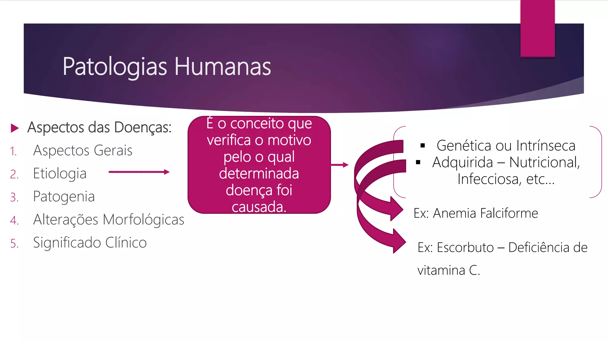 Patologias Humanas e Hipertensão Arterial | PPTX