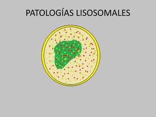 PATOLOGÍAS LISOSOMALES
 