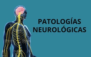 PATOLOGÍAS
NEUROLÓGICAS
 