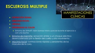 ESCLEROSIS MULTIPLE
 DISFUNCIÓN SEXUAL
 DEBILIDAD FACIAL
 VÉRTIGO
 SENSIBILIDAD AL CALOR
 Síntoma de Uhthoff: visión borrosa total o parcial durante el ejercicio o
con una ducha.
 Síntoma de Lhermitte: sensación similar a un choque eléctrico
desencadenada por la flexión del cuello u otro movimiento.
 Miocimia facial: contracciones rápidas y persistentes de los
músculos de la cara.
MANIFESTACIONES
CLÍNICAS
 