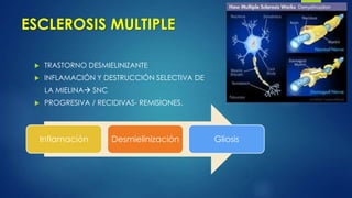ESCLEROSIS MULTIPLE
 TRASTORNO DESMIELINIZANTE
 INFLAMACIÓN Y DESTRUCCIÓN SELECTIVA DE
LA MIELINA SNC
 PROGRESIVA / RECIDIVAS- REMISIONES.
Inflamación Desmielinización Gliosis
 