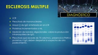 ESCLEROSIS MULTIPLE
 LCR
 Pleocitosis de mononucleares
 Mayor [] de IgG sintetizada en el LCR
 Proteínas incrementadas o nls.
 Medición de bandas oligoclonales: valora la producción
intrarraquídea de IgG.
 Pleocitosis que excede de 75 cels/mcL, presencia e PMN o
proteínas >1g/L deben despertar la sospecha de otro
padecimiento.
DIAGNÓSTICO
 