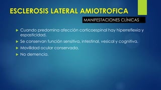 ESCLEROSIS LATERAL AMIOTROFICA
 Cuando predomina afección corticoespinal hay hiperreflexia y
espasticidad.
 Se conservan función sensitiva, intestinal, vesical y cognitiva.
 Movilidad ocular conservada.
 No demencia.
MANIFESTACIONES CLÍNICAS
 