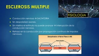 ESCLEROSIS MULTIPLE
 Conducción nerviosa  SALTATORIA
 Sin despolarizar axones.
 Sin mielina el estímulo no puede avanzar  interrupción de la
conducción nerviosa.
 Retraso en la conducción por propagación contínua de impulsos
nerviosos.
FISIOLOGIA
 