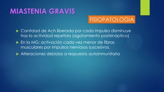 MIASTENIA GRAVIS
 Cantidad de Ach liberada por cada impulso disminuye
tras la actividad repetida (agotamiento postsináptico)
 En la MG: activación cada vez menor de fibras
musculares por impulsos nerviosos suscesivos.
 Alteraciones debidas a respuesta autoinmunitaria
FISIOPATOLOGIA
 