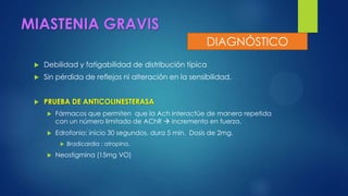 MIASTENIA GRAVIS
 Debilidad y fatigabilidad de distribución típica
 Sin pérdida de reflejos ni alteración en la sensibilidad.
 PRUEBA DE ANTICOLINESTERASA
 Fármacos que permiten que la Ach interactúe de manera repetida
con un número limitado de AChR  incremento en fuerza.
 Edrofonio: inicio 30 segundos, dura 5 min. Dosis de 2mg.
 Bradicardia : atropina.
 Neostigmina (15mg VO)
DIAGNÓSTICO
 