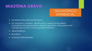 MIASTENIA GRAVIS
 Miastenia inducida por fármacos
 Sd. De Eaton- Lambert: disminución o ausencia de reflejos.
Incremetno tras estimulación nerviosa repetitiva. Anticuerpos anti
canales de Ca P/Q. Tumor asociado (Pulmón)
 Hipertiroidismo
 Botulismo
 Lesiones intracraneales
DIAGNÓSTICO
DIFERENCIAL
 