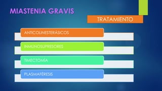 MIASTENIA GRAVIS
ANTICOLINESTERÁSICOS
INMUNOSUPRESORES
TIMECTOMÍA
PLASMAFÉRESIS
TRATAMIENTO
 