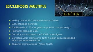 ESCLEROSIS MULTIPLE
 No hay asociación con traumatismos o estrés.
 Susceptibilidad genética
 Familiares de 1º, 2º y 3er grado expuestos a mayor riesgo.
 Hermanos riesgo de 2-5%
 Gemelos: concordanica de 25-30% monocigotos.
 Complejo MHC, cromosoma 6p21 región de suceptibilidad
más importante identificada.
 Regiones cromosómicas 19q35 y 17q13.
GENÉTICA
 