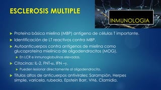 ESCLEROSIS MULTIPLE
 Proteína básica mielina (MBP) antígeno de células T importante.
 Identificación de LT reactivos contra MBP.
 Autoanticuerpos contra antígenos de mielina como
glucoproteína mielínica de oligodendrocitos (MOG).
 En LCR e inmunoglobulinas elevadas.
 Citocinas: IL-2, FNT- , IFN –
 Pueden lesionar directamente al oligodendrocito.
 Títulos altos de anticuerpos antivirales: Sarampión, Herpes
simple, varicela, rubeola, Epstein Barr, VH6, Clamidia.
INMUNOLOGIA
 