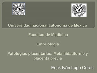 Erick Iván Lugo Ceras
 