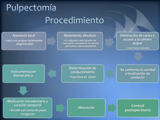 Procedimiento
     Anestesia local             Aislamiento absoluto              Eliminación de caries y
•aún con pulpas totalmente       •En algunos casos puede ser         acceso a la cámara
       degeneradas               necesario reconstruir la corona           pulpar
                                  para aislar adecuadamente.
                                                                      •Con fresa redonda




                                      Determinación de             Se conforma la cavidad
    Instrumentación                    conductometría                 y localización de
      biomecánica.                    •Con lima de 15mm                   conducto




 Medicación intradentaria y
    curación temporal                                                   Control
                                             Obturación
  •Secado con conos de papel                                         postoperatorio
         •Irrigación
 
