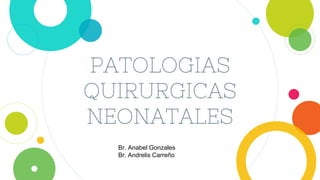 PATOLOGIAS
QUIRURGICAS
NEONATALES
Br. Anabel Gonzales
Br. Andrelis Carreño
 