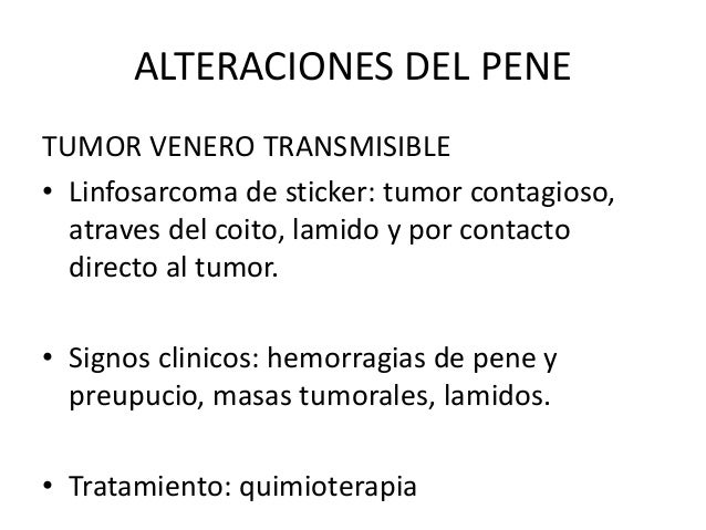 Que hacer si duele el cuello y los músculos del hombro