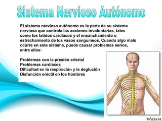 El sistema nervioso autónomo es la parte de su sistema 
nervioso que controla las acciones involuntarias, tales 
como los latidos cardíacos y el ensanchamiento o 
estrechamiento de los vasos sanguíneos. Cuando algo malo 
ocurre en este sistema, puede causar problemas serios, 
entre ellos: 
Problemas con la presión arterial 
Problemas cardíacos 
Dificultad en la respiración y la deglución 
Disfunción eréctil en los hombres 
 