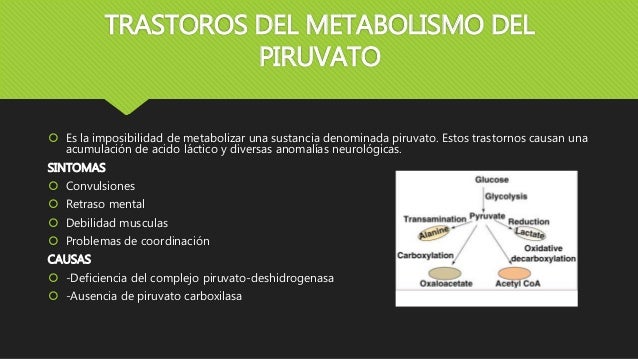 definicion de metabolismo basal hoja cheet