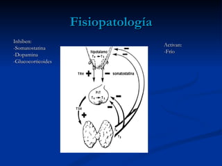 Fisiopatología
Inhiben:
                                     Activan:
-Somatostatina
                                     -Frío
-Dopamina
-Glucocorticoides
 