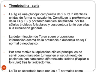 18
4. Tiroglobulina seria
- La Tg es una glucopz compuesta de 2 subUn idénticas
unidas de forma no covalente. Constituye la proHormona
de la T4 y T3, y por tanto también sintetizada por las
células tiroideas foliculares y cosecretada junto con ellas
a la circulación general.
- La determinación de Tg en suero proporciona
información acerca de la presencia o ausencia de tej T
normal o neoplasico.
- Por este motivo su aplicación clínica principal es de
servir como marcador tumoral en el seguimiento de
pacientes con carcinoma diferenciado tiroideo (Papilar o
folicular) tras la tiroidectomía.
- La Tg es secretada tanto por las c T normales como
 