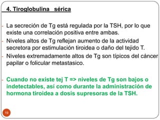 19
4. Tiroglobulina sérica
- La secreción de Tg está regulada por la TSH, por lo que
existe una correlación positiva entre ambas.
- Niveles altos de Tg reflejan aumento de la actividad
secretora por estimulación tiroidea o daño del tejido T.
- Niveles extremadamente altos de Tg son típicos del cáncer
papilar o folicular metastasico.
- Cuando no existe tej T => niveles de Tg son bajos o
indetectables, así como durante la administración de
hormona tiroidea a dosis supresoras de la TSH.
 
