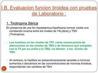 I.B. Evaluacion funcion tiroidea con pruebas
de Laboratorio :
5
1. Tirotropina Sérica
En presencia de una fcn hipotalamica-hipofisiaria normal, existe una
correlación inversa entre los niveles de T4L(libre) y TSH
(Tirotropina).
- Los cambios en los niveles de T4T, como consecuencia de
alteraciones en los niveles de TBG o de fármacos que compiten
con la T4 por su unión a la TBG, no afectan a los niveles de
TSH.
- Al contrario, la hipófisis es extraordinariamente sensible a mínimos
aumentos o descensos en las concentraciones de horonas tiroideas,
respondiendo con cambios de TSH.
 