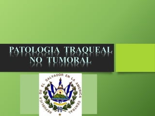 PATOLOGIA TRAQUEAL
NO TUMORAL
 
