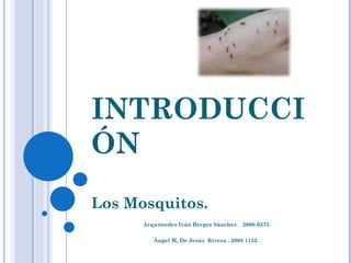 INTRODUCCIÓN Los Mosquitos. Arquímedes Iván Berges Sánchez.  2006-0375 Ángel M, De Jesús  Rivera . 2008 1152. 