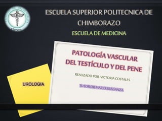 ESCUELA SUPERIOR POLITECNICADE
CHIMBORAZO
UROLOGIA
 