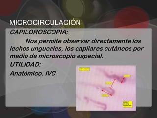 MICROCIRCULACIÓN
CAPILOROSCOPIA:
     Nos permite observar directamente los
lechos ungueales, los capilares cutáneos por
medio de microscopio especial.
UTILIDAD:
Anatómico. IVC
 