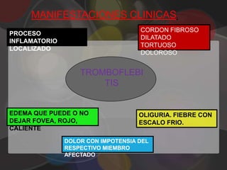 MANIFESTACIONES CLINICAS.
                                    CORDON FIBROSO
PROCESO
                                    DILATADO
INFLAMATORIO
                                    TORTUOSO
LOCALIZADO
                                    DOLOROSO


                   TROMBOFLEBI
                       TIS


EDEMA QUE PUEDE O NO                OLIGURIA. FIEBRE CON
DEJAR FOVEA, ROJO,                  ESCALO FRIO.
CALIENTE

               DOLOR CON IMPOTENSIA DEL
               RESPECTIVO MIEMBRO
               AFECTADO
 